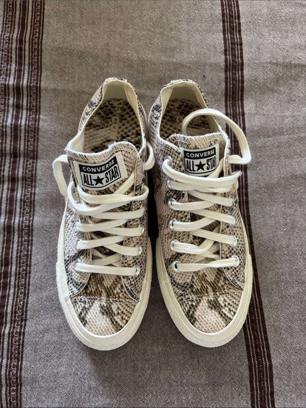 Converse Low Top Sneakers in Neutral Snakeskin Print
